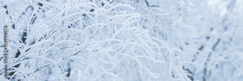 Snow and rime ice on the branches of bushes. Beautiful winter background with trees covered with hoarfrost. Plants in the park are covered with hoar frost. Cold snowy weather. Cool frosting texture. © Andrei Stepanov