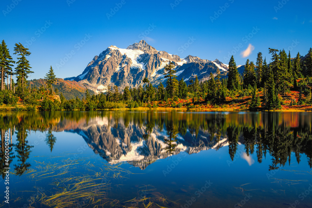 The iconic view of Mount Shuksan reflecting in Picture Lake during the Fall in the Pacific Northwest of the United States