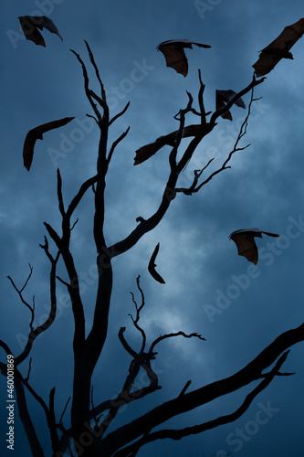 A scary background   a silhouette of dead tree surrounded with bats