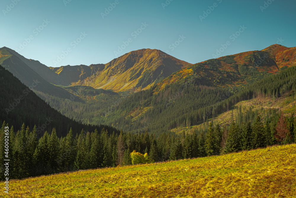 Obraz premium landscape