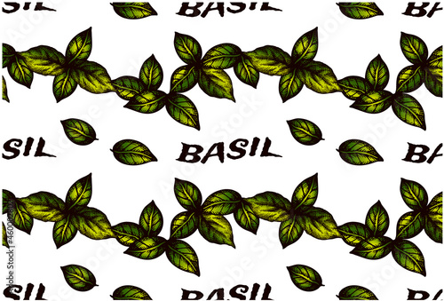 Sketch hand drawn pattern of green basil leaves isolated on white background. Organic natural food ingridient. Line art drawing basil leaf wallpaper. Vector illustration.
