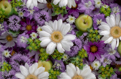 Composition of white  blue and purple flowers