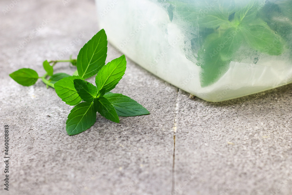 Pepper Mint plant or mentha x piperita, aromatic and freshness herb on grey grainy background. Selective focus. Pepper Mint plant or mentha x piperita, aromatic and freshness herb on grey grainy background. Selective focus.