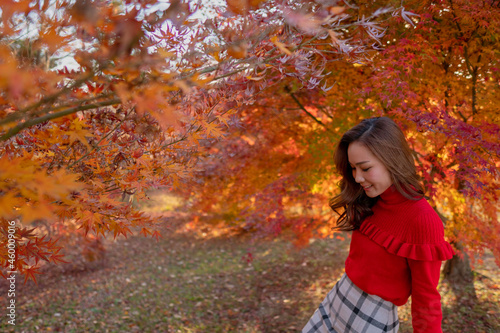 秋の紅葉を散歩 観察する女性