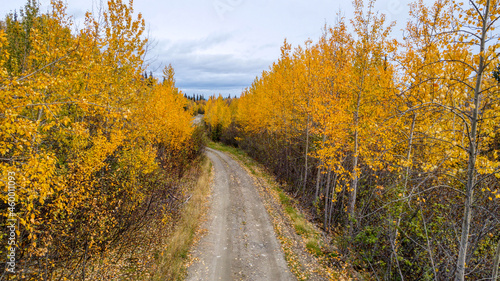 Fall Foliage at its Peak on an Alaskan Backroad
