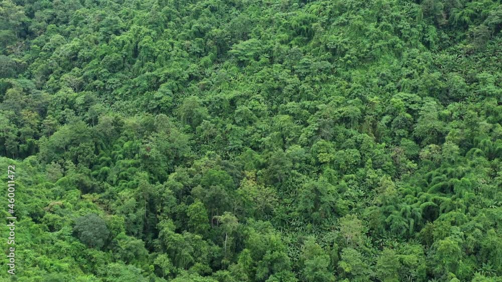During the rainy season in northern Thailand, an aerial view of the forest amid the beautiful rain covering the tropical rainforest mountains. Thailand's rich forests, which are located in the wet tro During the rainy season in northern Thailand, an aerial view of the forest amid the beautiful rain covering the tropical rainforest mountains. Thailand's rich forests, which are located in the wet tro