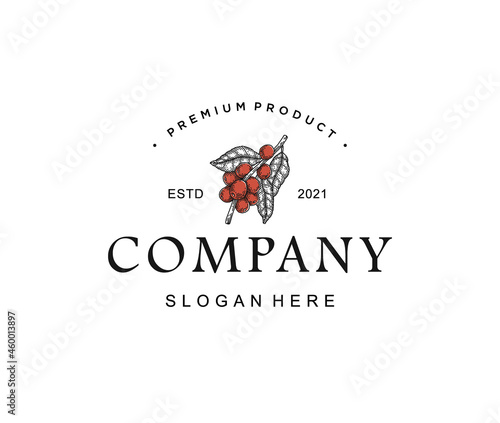 Coffe bean logo template