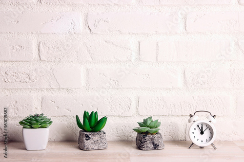Houseplants in flowerpots and alarm clock on a table near white brick wall.