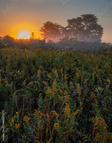 655-75 Springbrook Prairie Sunrise photo