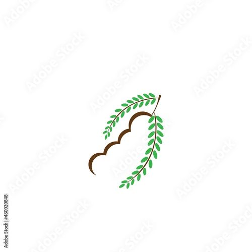 Tamarind icon logo vector