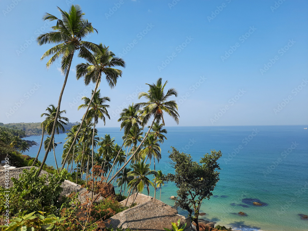 Goa beach with palm tree sea sand beach. Panoramic beach landscape. Inspire tropical beach seascape horizon. turquoise blue transparent sea water.