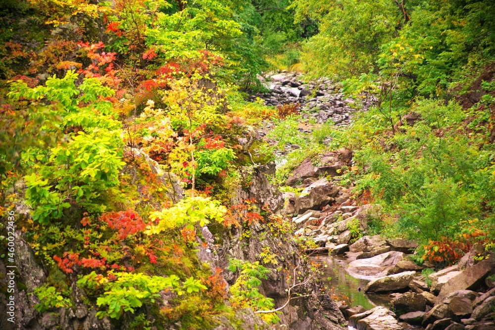 晩秋に染まる定山渓温泉 晩秋に染まる定山渓温泉