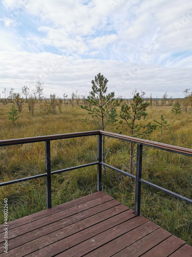 An observation deck with a wooden deck over the swamp, with a view of the grass and low trees against a beautiful sky with clouds.