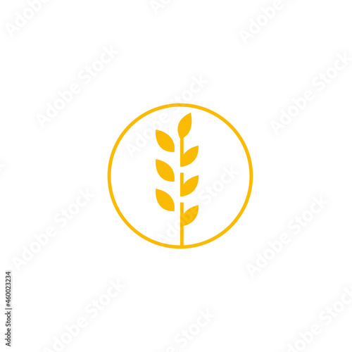 circle yellow paddy wheat barley plant harvest agriculture image vector - Vector