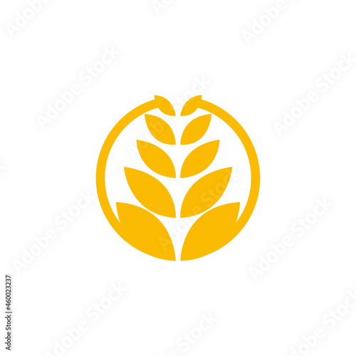 circle yellow paddy wheat barley plant harvest agriculture image vector - Vector