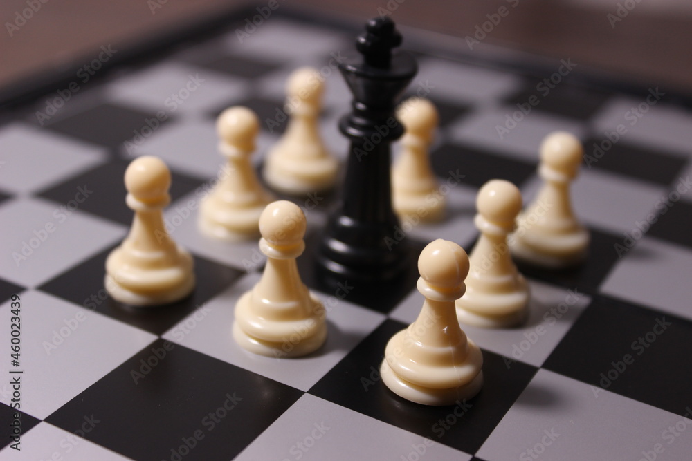 chess pieces with character chess pieces with character