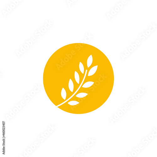 circle yellow paddy wheat barley plant harvest agriculture image vector - Vector