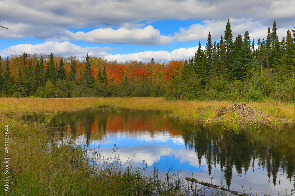 Fall Colors on Northern Kettle Bog Lake