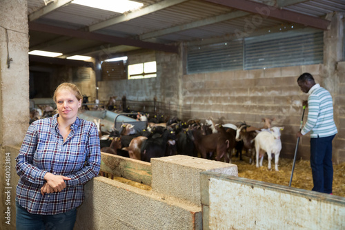 Farmers man and women does the cleaning in the goat shed. High quality photo