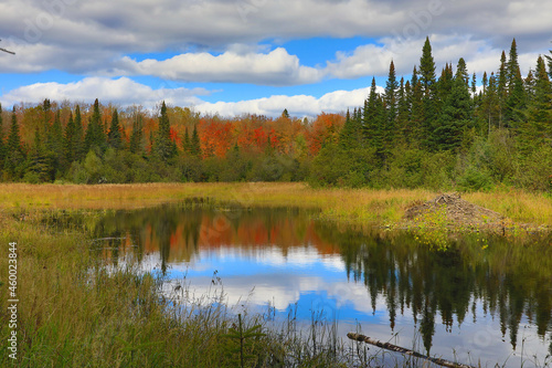 Fall Colors on Northern Kettle Bog Lake © Rob Schultz