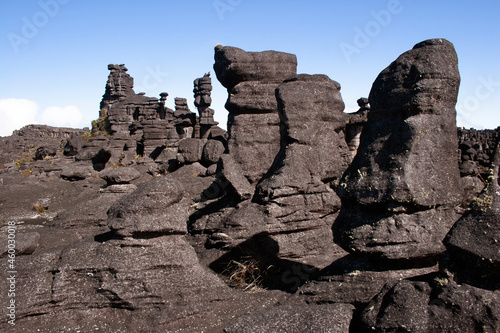 landscape of giant black stones in Roraima photo