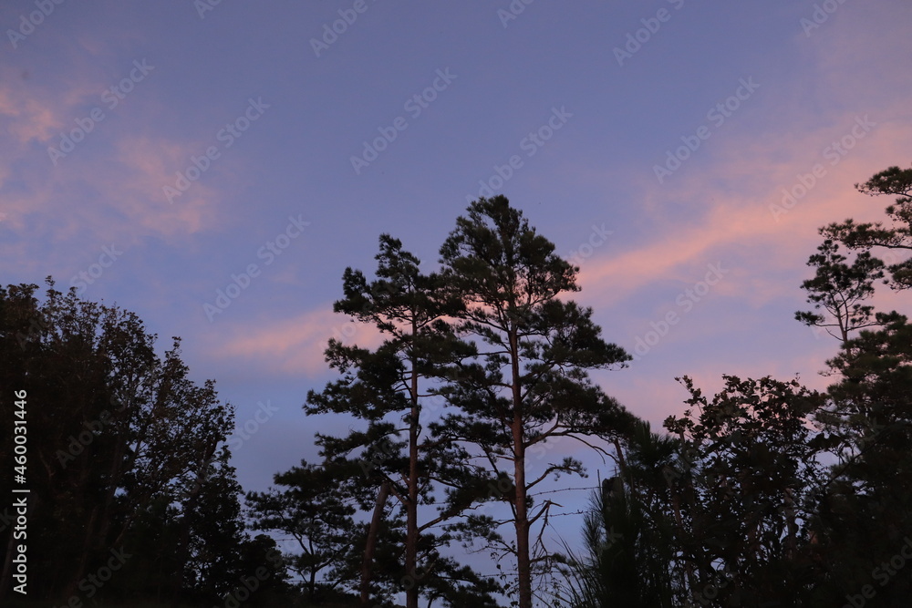 Obraz premium Sunset