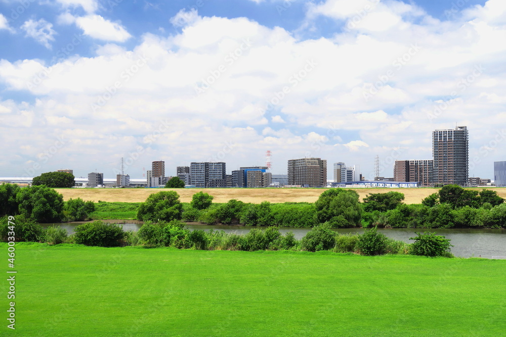 真夏の誰もいない江戸川河川敷風景