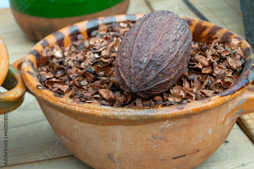 Cacao en olla de barro photo