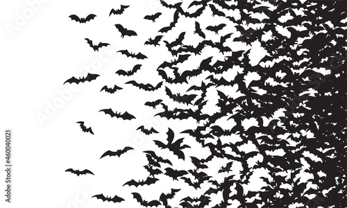 Black silhouette of flying bats flock isolated on white background. 
