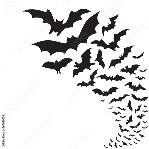 Flying bat group. Flock of bats