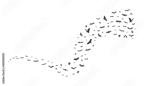 Flying bat group isolated on white background. Flock of bats