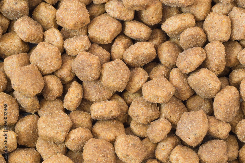 a scattering of dry dog food a scattering of dry dog food