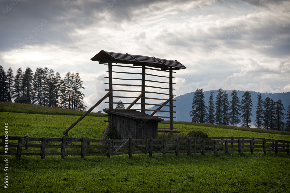 Alte hölzerne Harpfe zum Trocknen von Getreide und Heu, Pustertal, Südtirol, Alpen, Italien, Europa