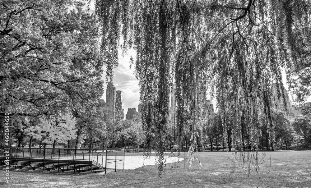 Fototapeta premium Foliage colors of Central Park in autumn season. It is a main city attraction.