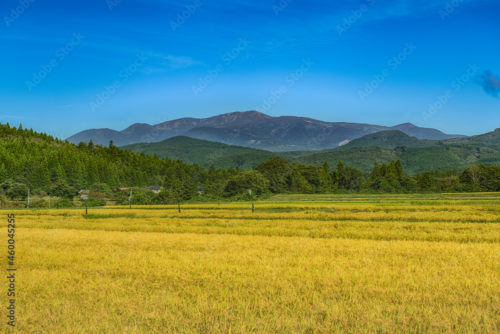 日本の秋の栗駒山と山里の収穫時期になった黄金色の水田