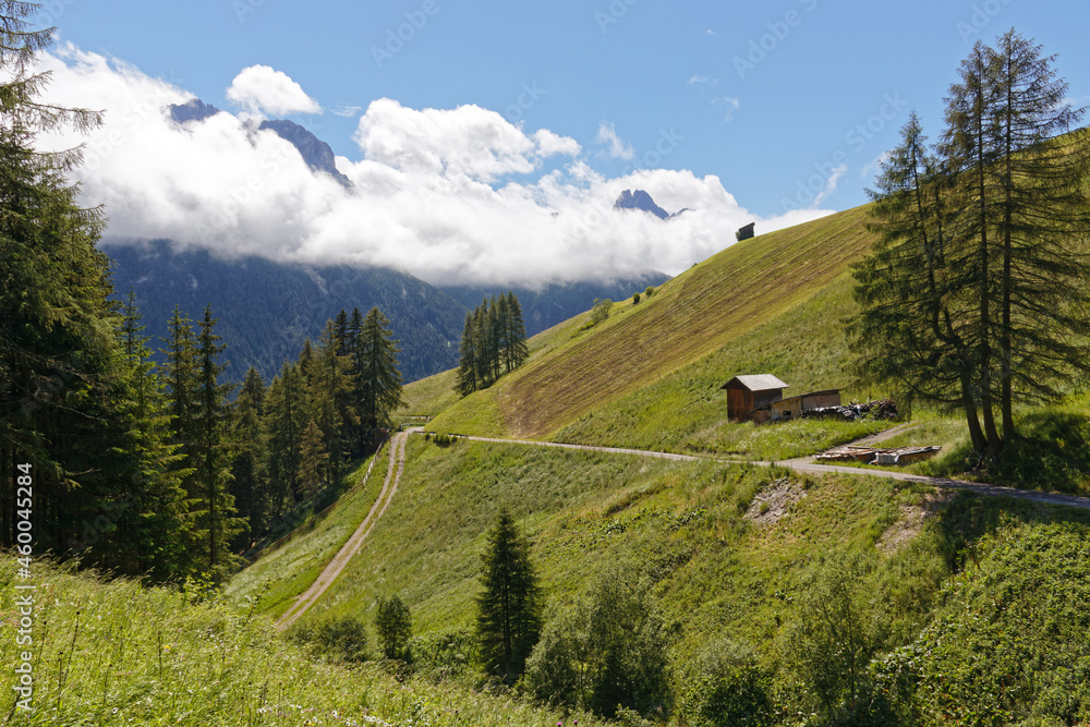 Abgemähte Bergwiesen mit dem Gipfel der Schusterspitze in den Sextner Dolomiten, Pustertal, Alpen, Südtirol, Italien 