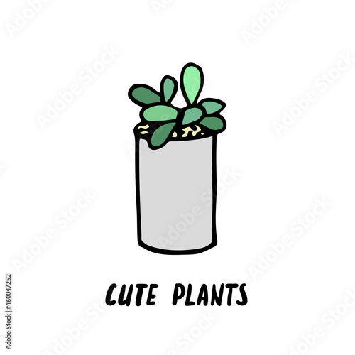 Succulent doodle print. Home plants in modern flowerpot