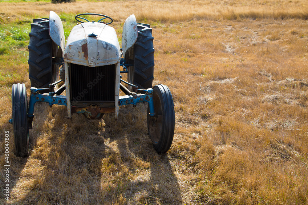 Obraz premium front view old antique tractor in grass field open composition side 
