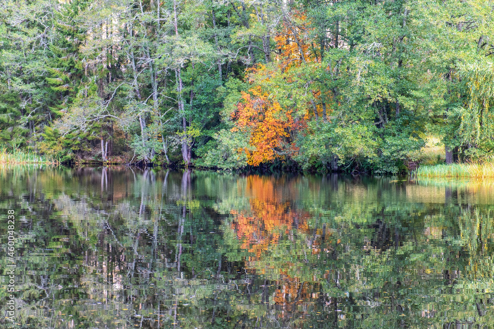 Autumn colors reflected in a lake