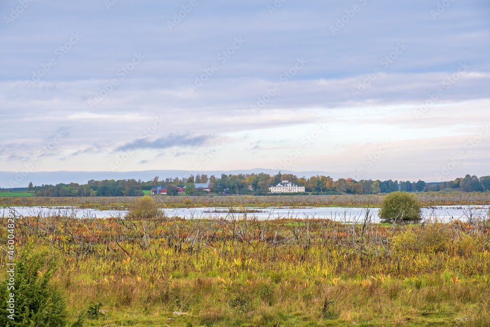Landscape view at a wetland with a castle