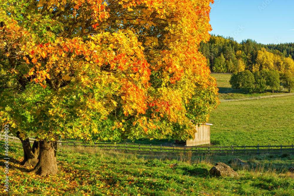 Autumnal landscape with a wooden hut, green grass and colorful trees. A beautiful day at Turku, Finland.