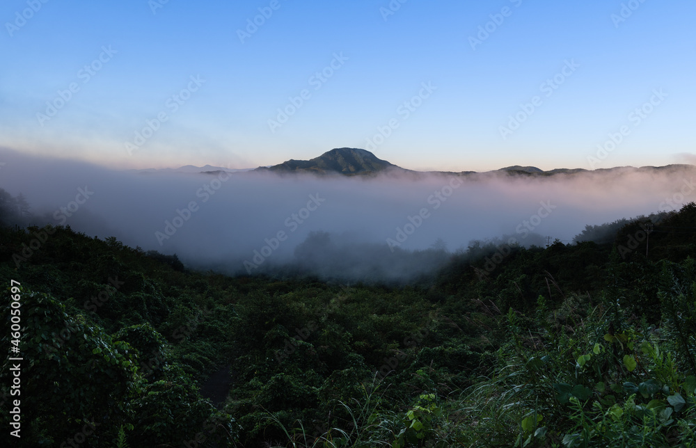 日本　早朝朝霧の山
