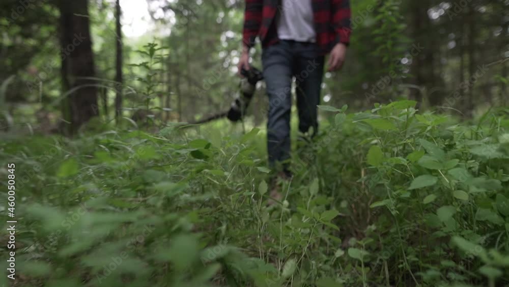 Low angle shot of man carrying camera in a forest surrounded with tall grass and ferns as he walks towards the camera in smooth cinematic slow motion. Photographer walks through the forest. Low angle shot of man carrying camera in a forest surrounded with tall grass and ferns as he walks towards the camera in smooth cinematic slow motion. Photographer walks through the forest.