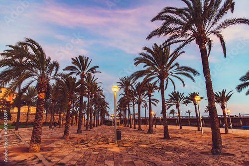Evening promenade in Palma de Mallorca 