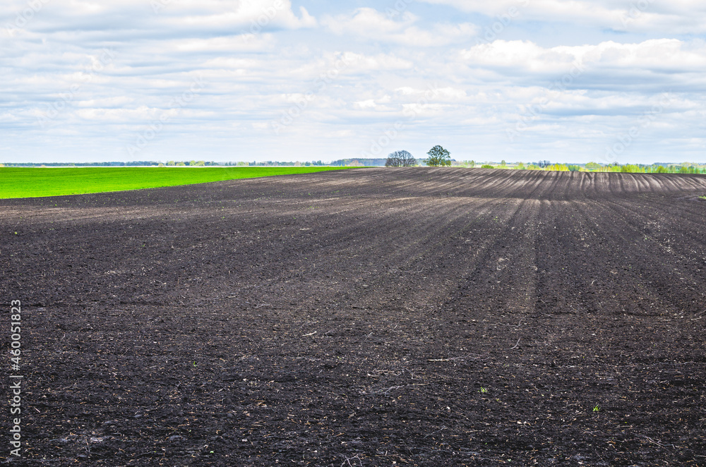 The plowed field dries up so that tractors can drive into the field and start sowing seeds