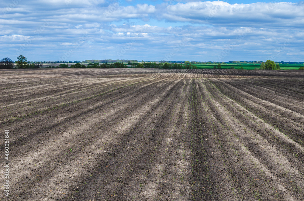 A plowed field in early spring prepared for planting vegetables