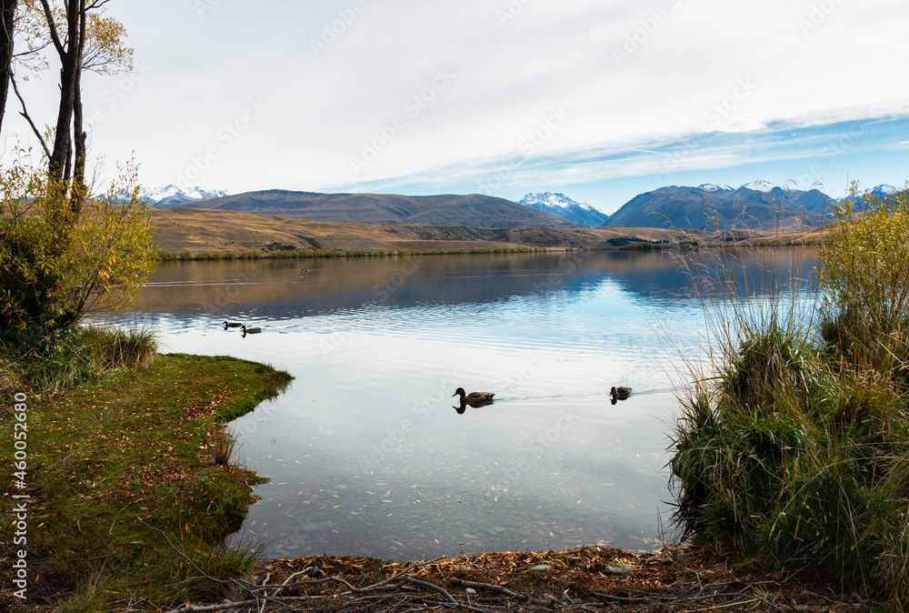 Lake Alexandrina with snow-capped mountain in the background, Mackenzie Country, Canterbury, New Zealand.