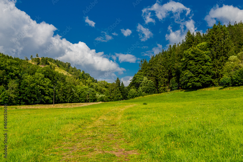Spätsommerwanderung durch den Thüringer Wald bei Kleinschmalkalden Spätsommerwanderung durch den Thüringer Wald bei Kleinschmalkalden
