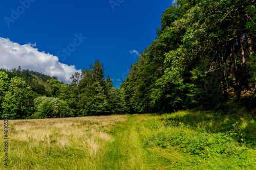 Spätsommerwanderung durch den Thüringer Wald bei Kleinschmalkalden © Oliver Hlavaty