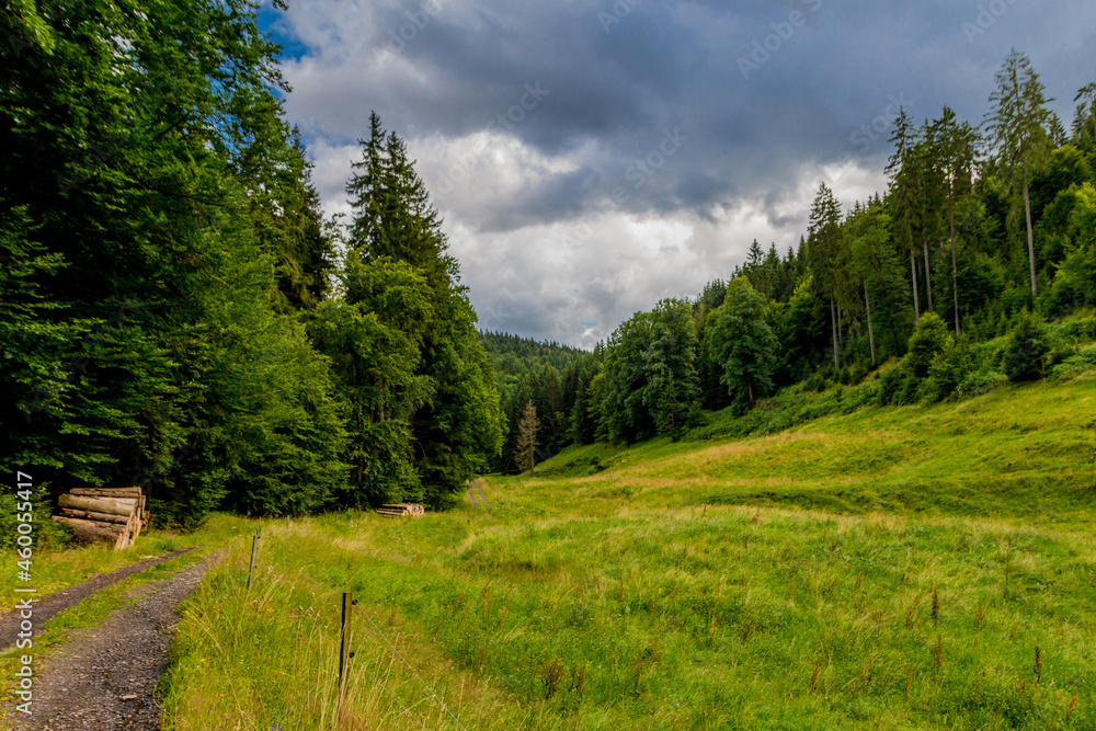 Spätsommerwanderung durch den Thüringer Wald bei Kleinschmalkalden
